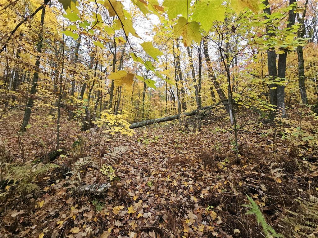 Lot 26 Block 1 Westward Ho Roosevelt Twp MN 56450 6745956 image1