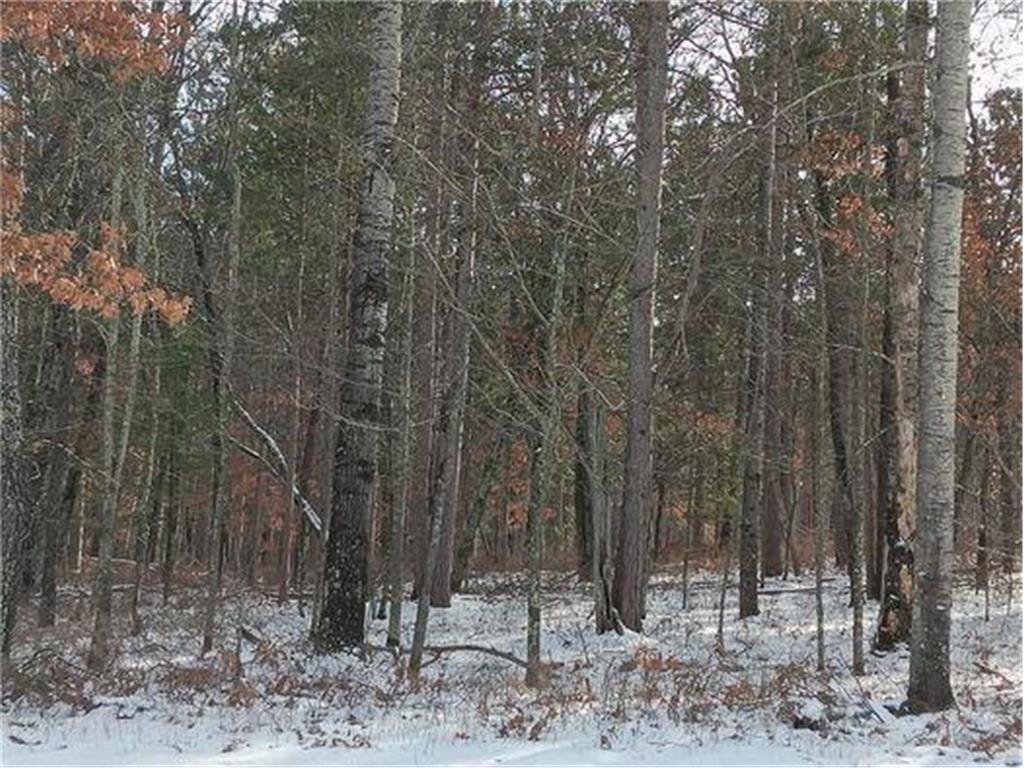 Lot 26 Deer Lodge Trail Way Danbury WI 54830 7000944 image14