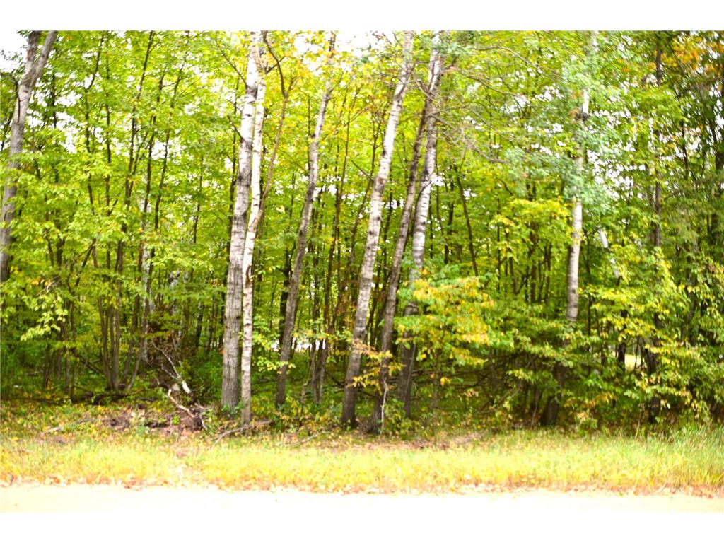 Lot 27 Block 7 Oak Drive Moran Twp MN 56438 - Pine Island 6502119 image1