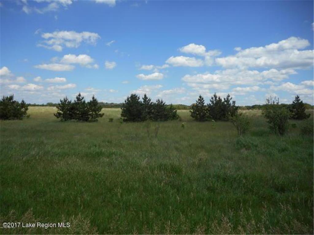 Lot 28 425th Ave Avenue Perham MN 56573 6497088 image1