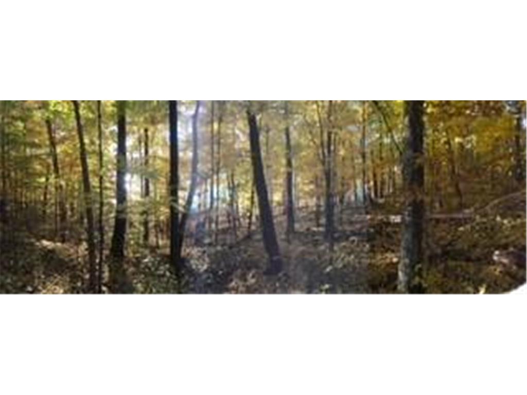 Lot 29 Deer Lake Lane, Meteor Twp, WI, 54835 MLS 6494650 Edina Realty