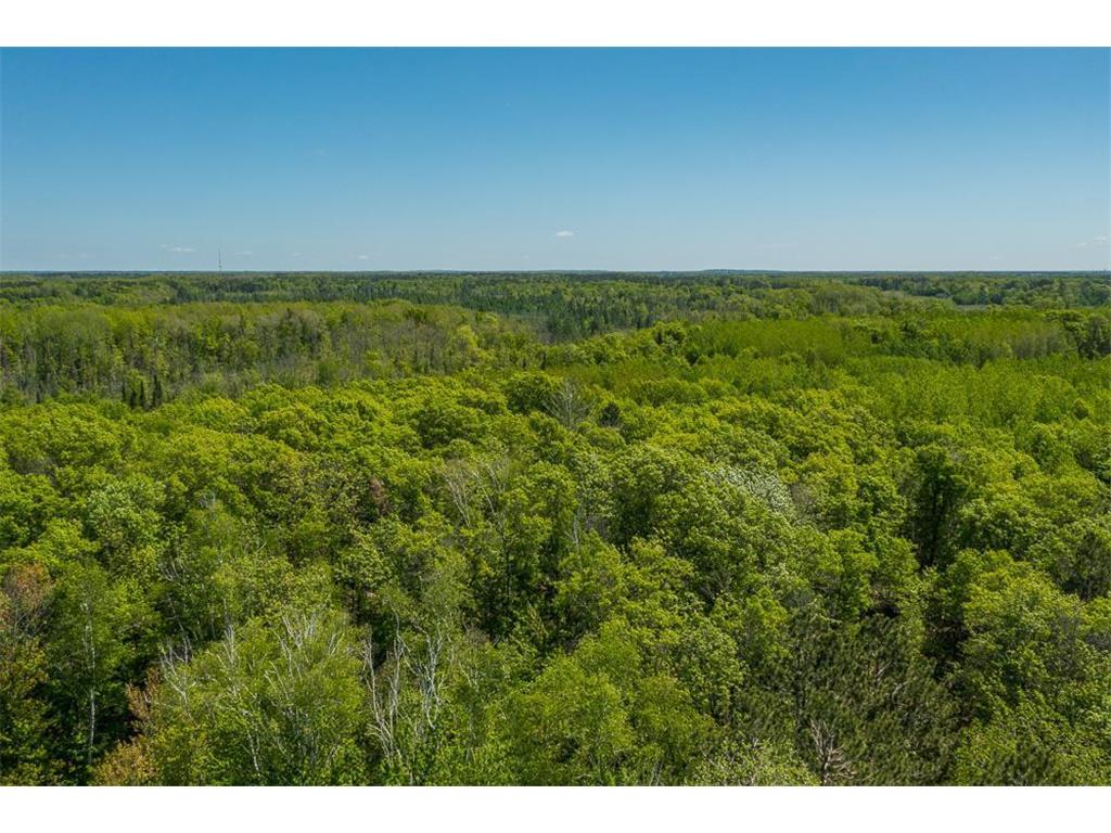 Lot 29 Sanctuary Path Brainerd MN 56401 6486033 image60