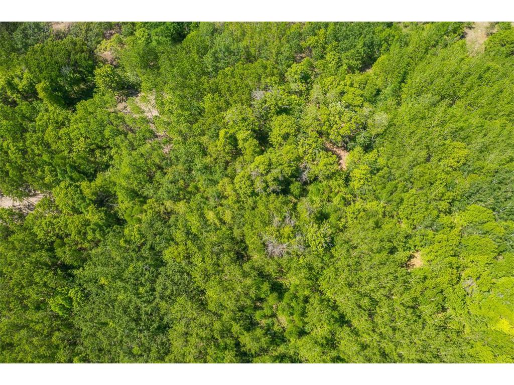 Lot 29 Sanctuary Path Brainerd MN 56401 6486033 image80