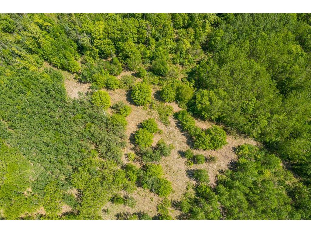 Lot 29 Sanctuary Path Brainerd MN 56401 6486033 image83