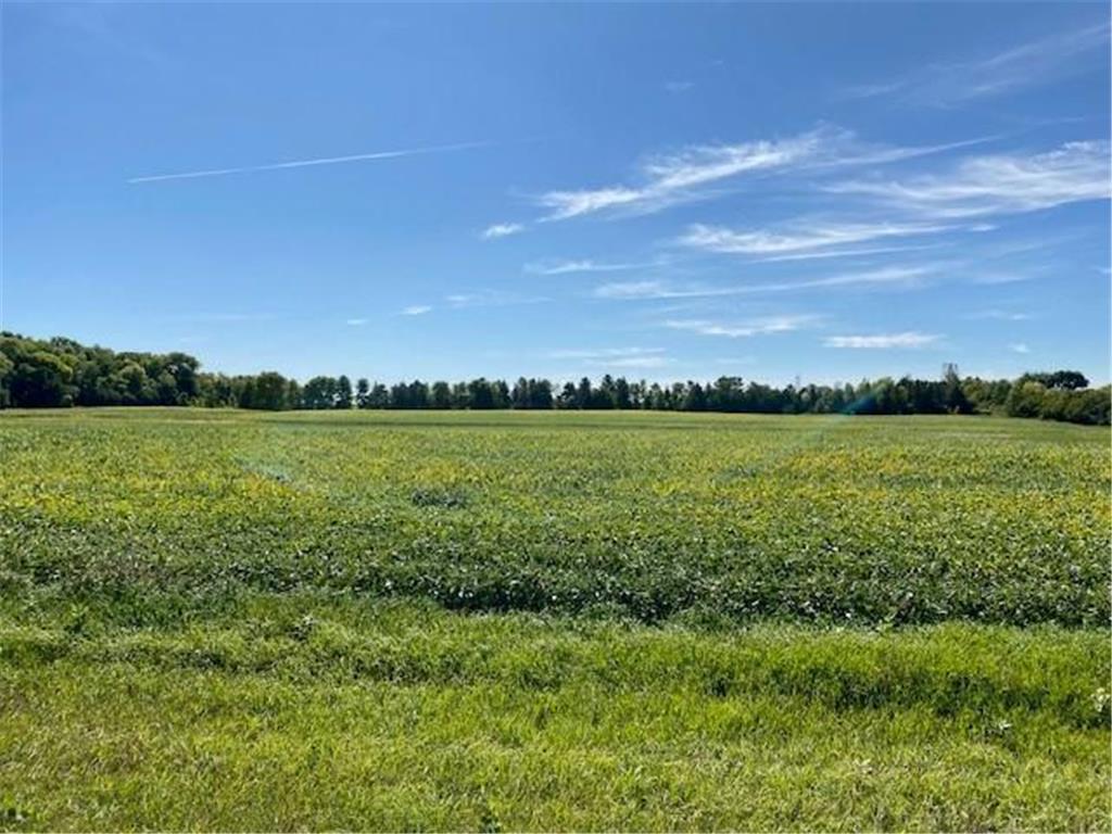Lot 3 140th Street Glencoe MN 55336 6433891 image1