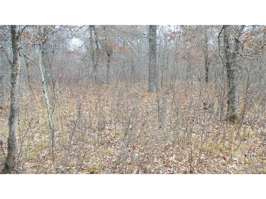 Lot 3 300th St Sterling Twp WI 54024 6815717 image10