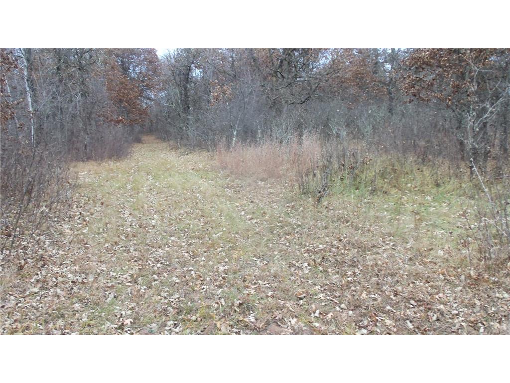 Lot 3 300th St Sterling Twp WI 54024 6815717 image3