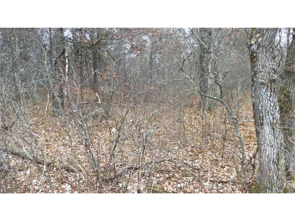 Lot 3 300th St Sterling Twp WI 54024 6815717 image5