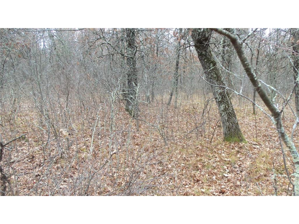 Lot 3 300th St Sterling Twp WI 54024 6815717 image6