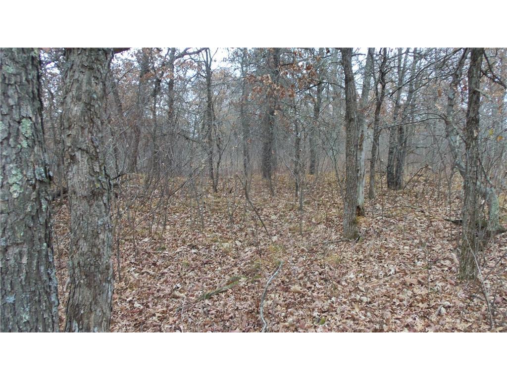 Lot 3 300th St Sterling Twp WI 54024 6815717 image7