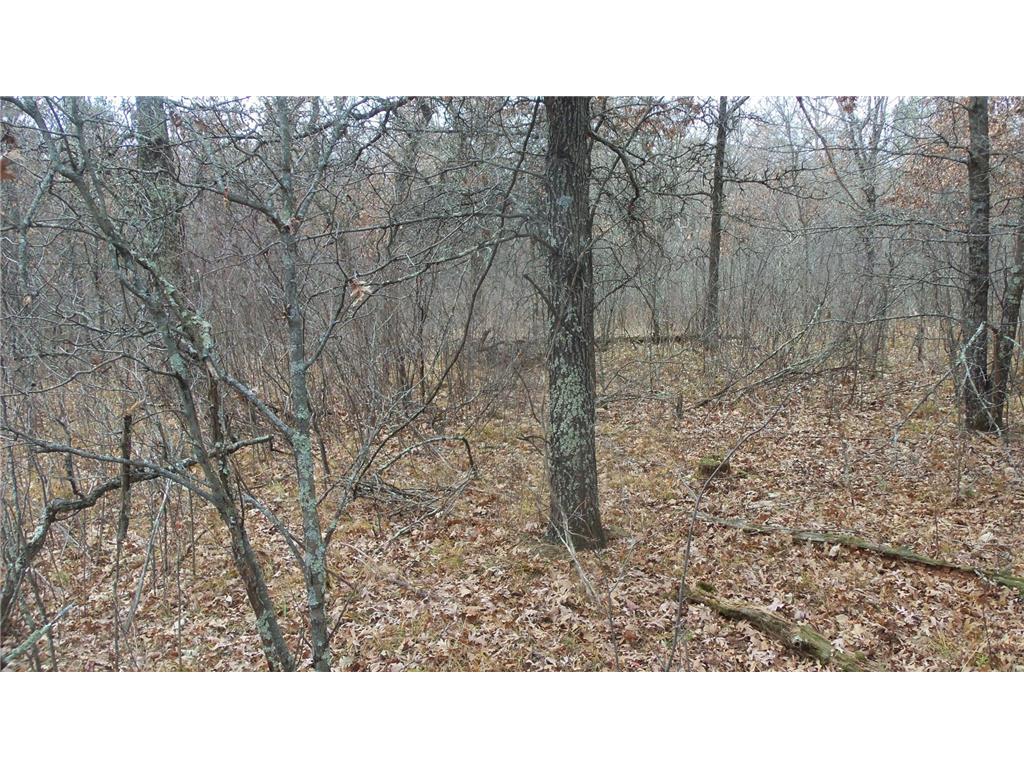 Lot 3 300th St Sterling Twp WI 54024 6815717 image8