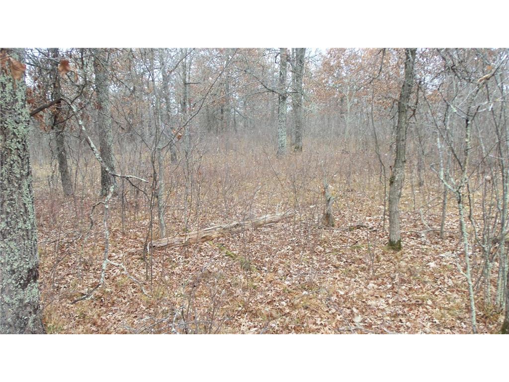 Lot 3 300th St Sterling Twp WI 54024 6815717 image9
