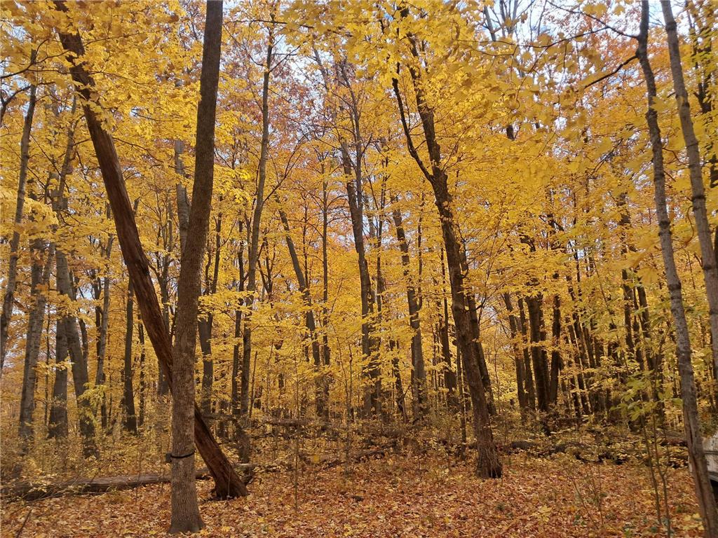 Lot 3 310th Avenue Frederic WI 54837 6622662 image1