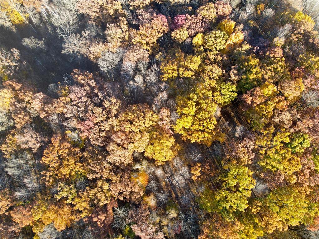 Lot 3 320th Street Forest Twp WI 54005 6823851 image12