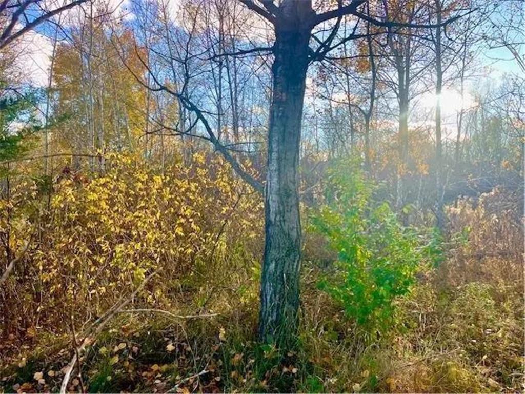 Lot 3 320th Street Forest Twp WI 54005 6823851 image4