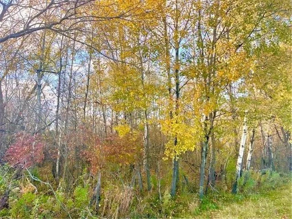 Lot 3 320th Street Forest Twp WI 54005 6823851 image7
