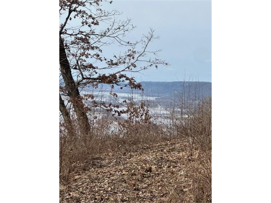 Lot 3 Alma Hills Alma WI 54610 - Mississippi 7044151 image9