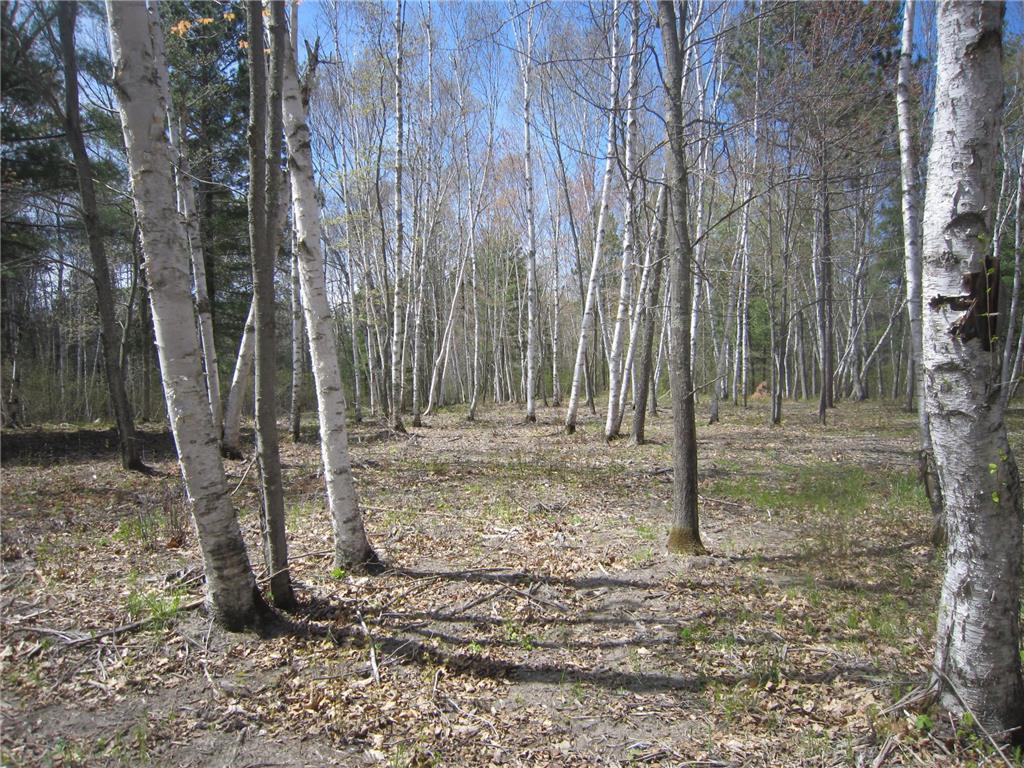Lot 3 Pike Bay Loop NW Cass Lake MN 56633 7084177 image7