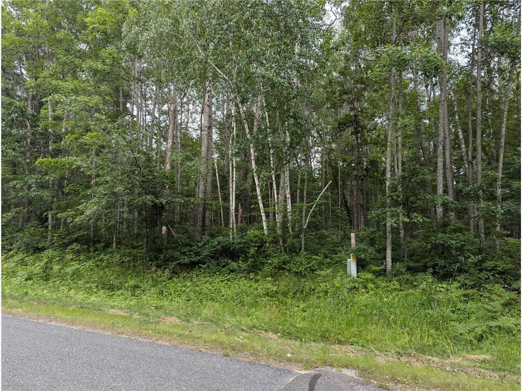 Lot 3 Blk 18 Winter Trail Breezy Point MN 56472 6572840 image1
