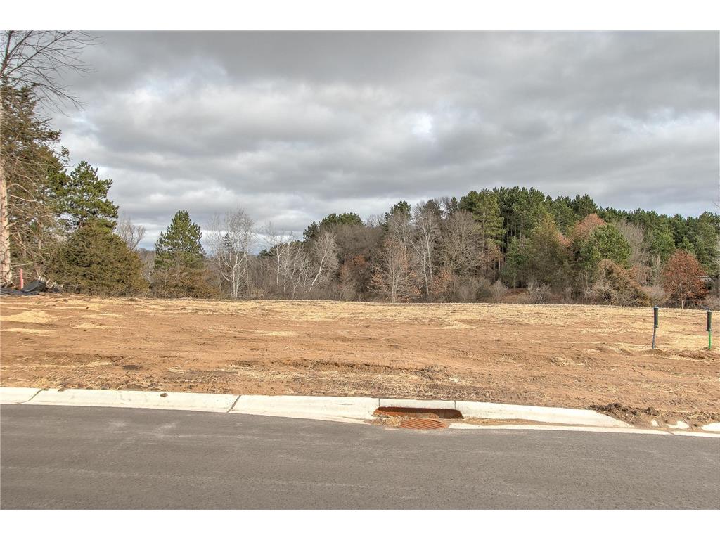 Lot 3 Blk 2 S Maple Drive Cambridge MN 55008 7045204 image4