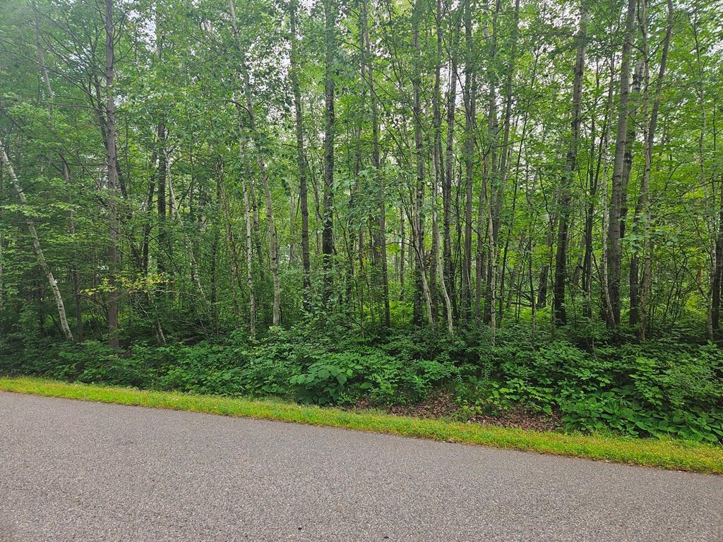 Lot 3 Blk 2 SW 1st Avenue Grand Rapids MN 55744 6767179 image4