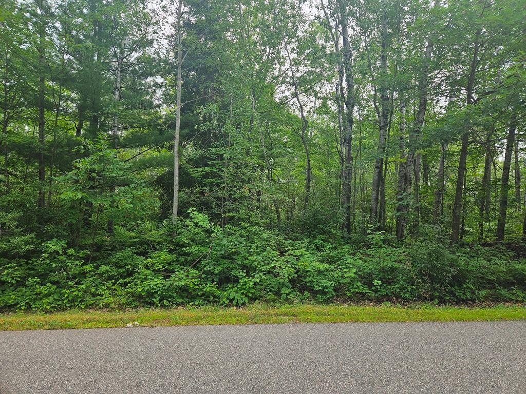 Lot 3 Blk 2 SW 1st Avenue Grand Rapids MN 55744 6767179 image6