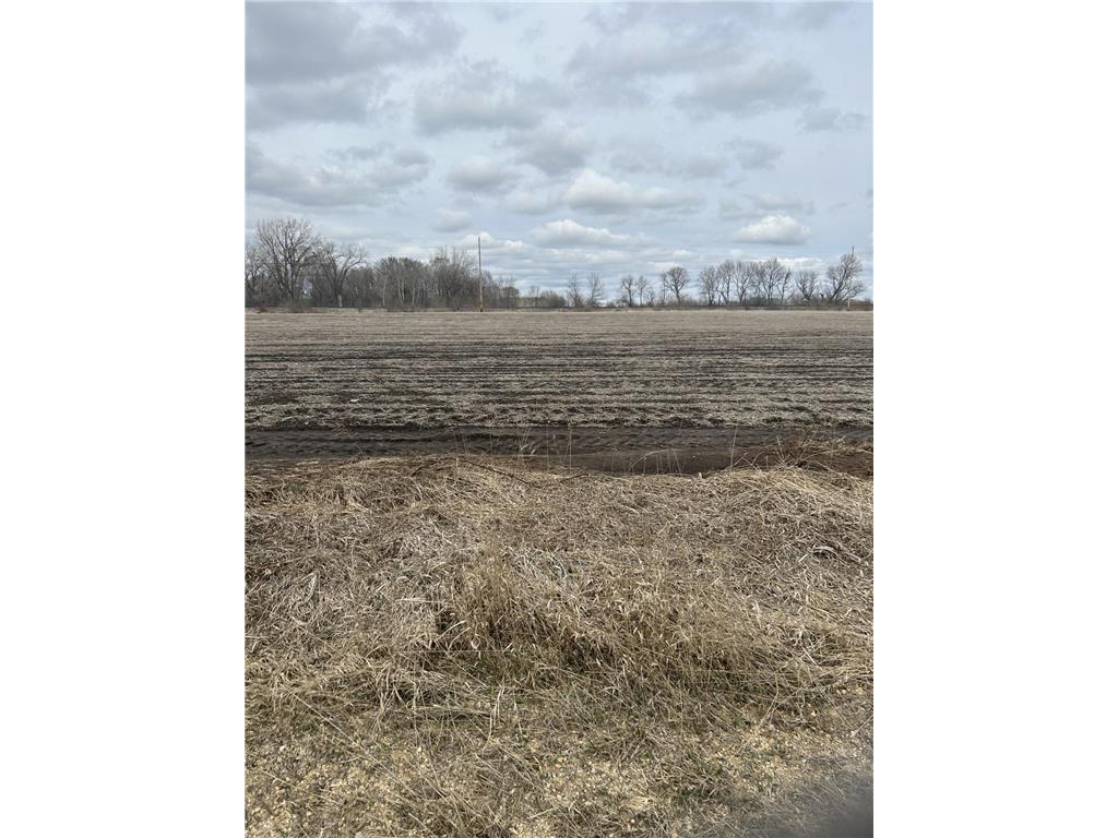 Lot 3 Block 1 Cannon River Boulevard Sciota Twp MN 55065 - Cannon River 6695881 image4