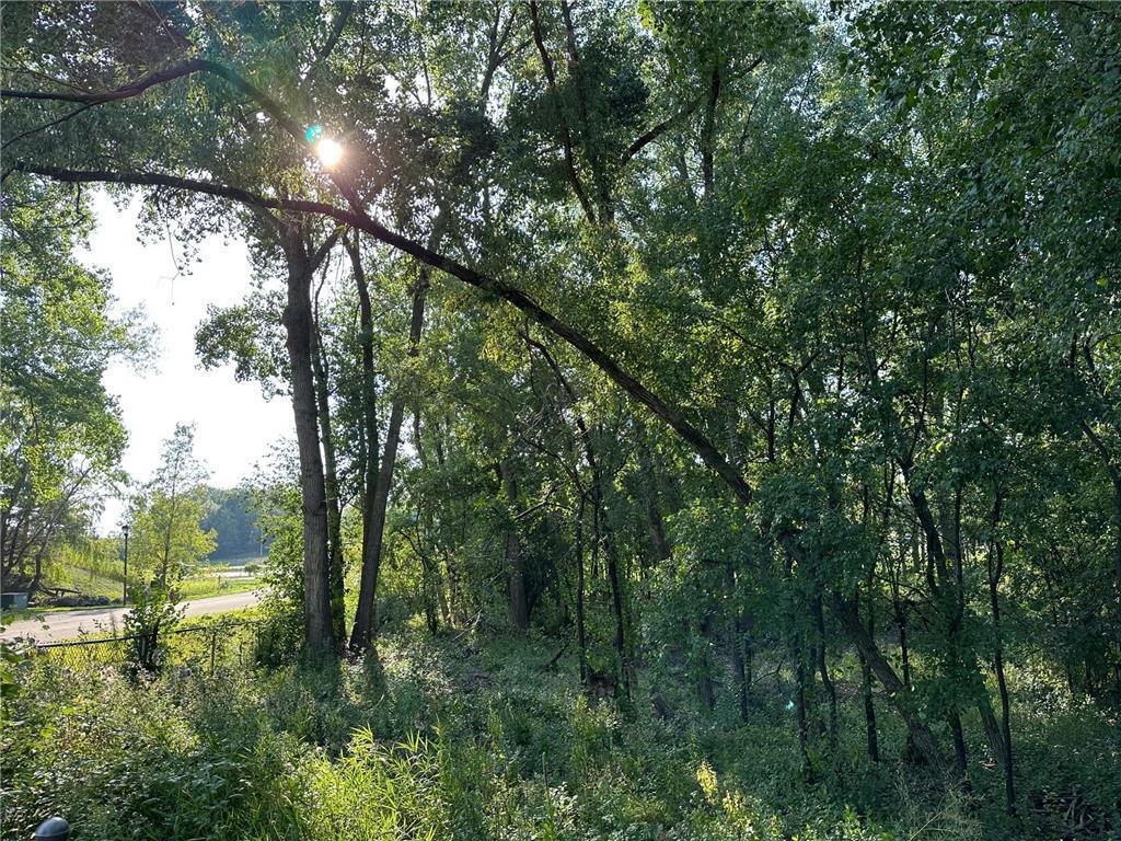 Lot 3 Block 1 Kenrick Avenue Lakeville MN 55044 6751395 image11