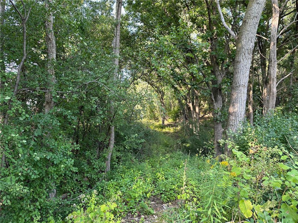 Lot 3 Block 1 Kenrick Avenue Lakeville MN 55044 6751395 image12