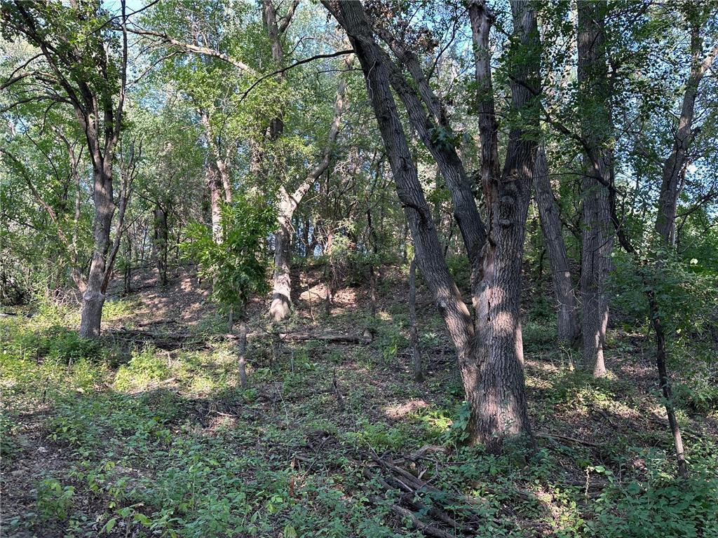 Lot 3 Block 1 Kenrick Avenue Lakeville MN 55044 6751395 image15