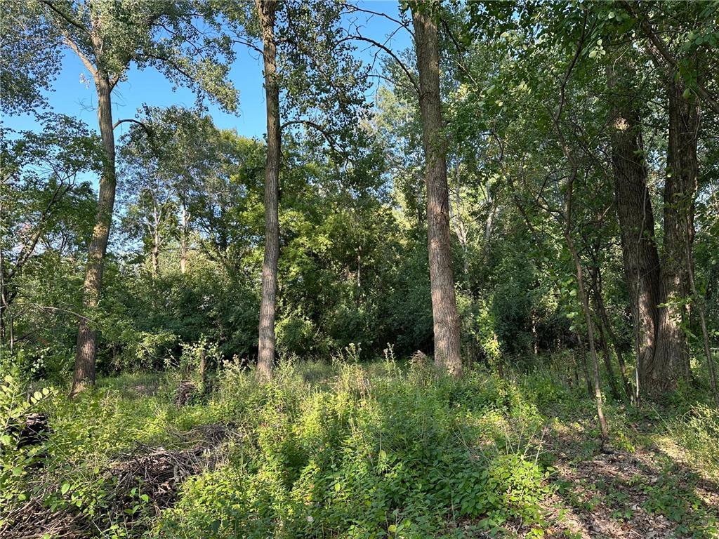 Lot 3 Block 1 Kenrick Avenue Lakeville MN 55044 6751395 image17