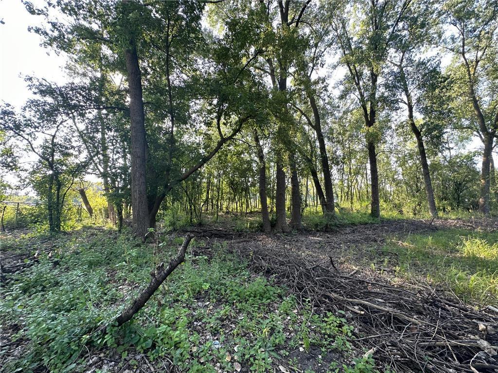 Lot 3 Block 1 Kenrick Avenue Lakeville MN 55044 6751395 image3