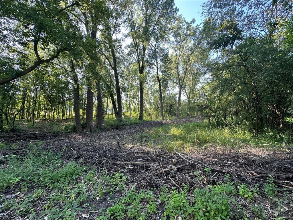 Lot 3 Block 1 Kenrick Avenue Lakeville MN 55044 6751395 image4