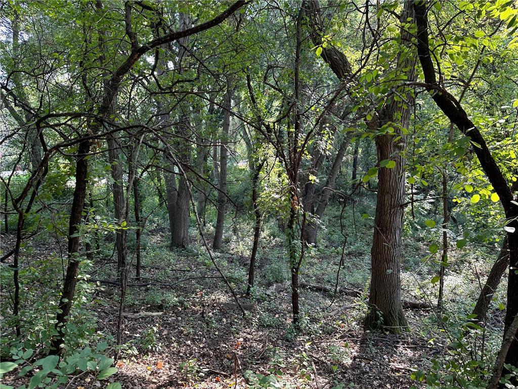 Lot 3 Block 1 Kenrick Avenue Lakeville MN 55044 6751395 image6