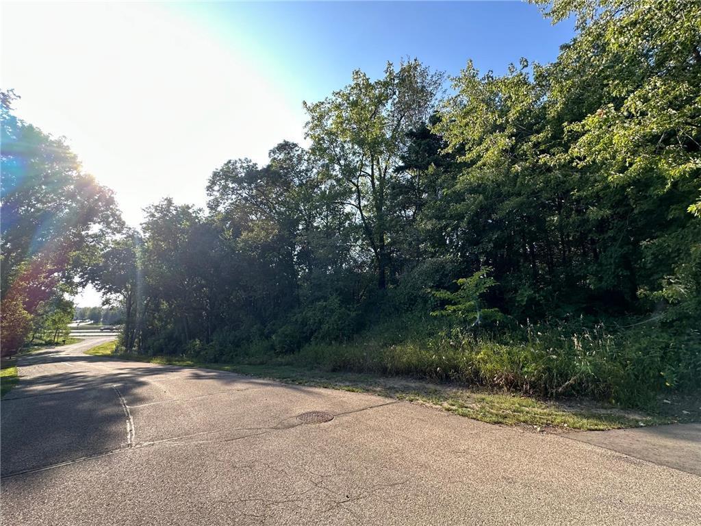 Lot 3 Block 1 Kenrick Avenue Lakeville MN 55044 6751395 image7