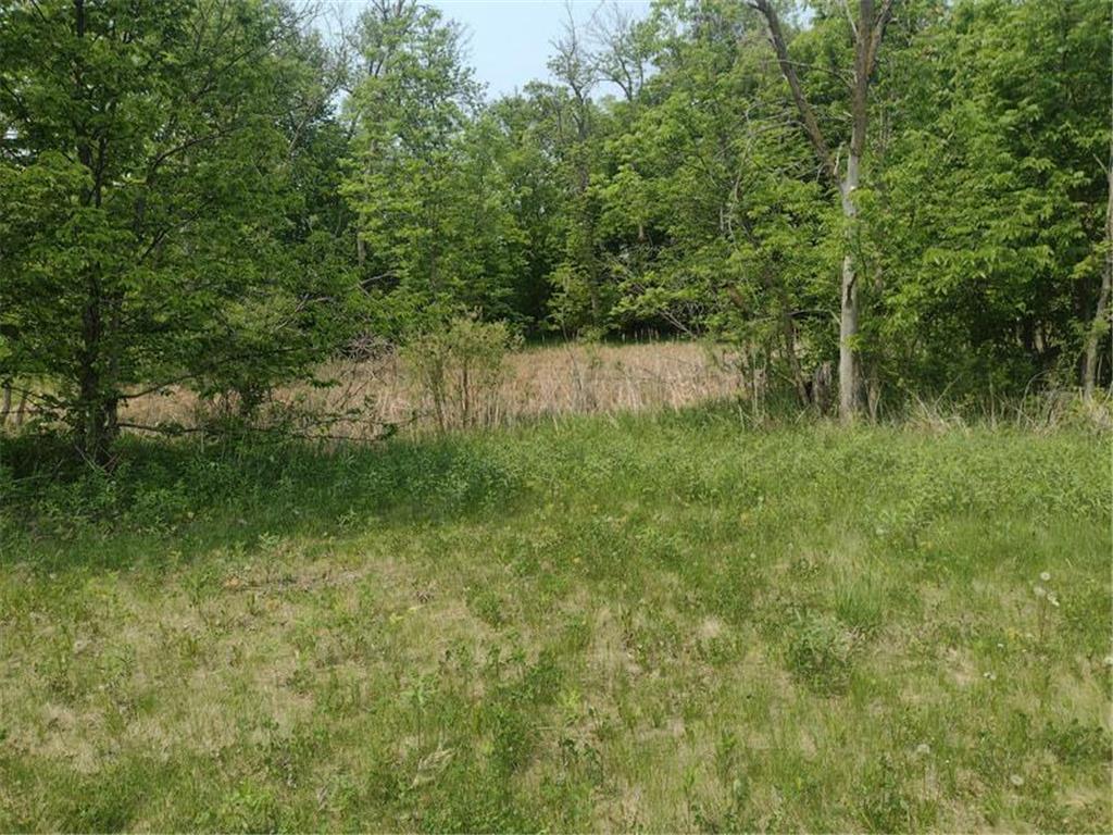 Lot 3 Block 3 Crystal Beach Lane Pelican Rapids MN 56572 7009615 image4