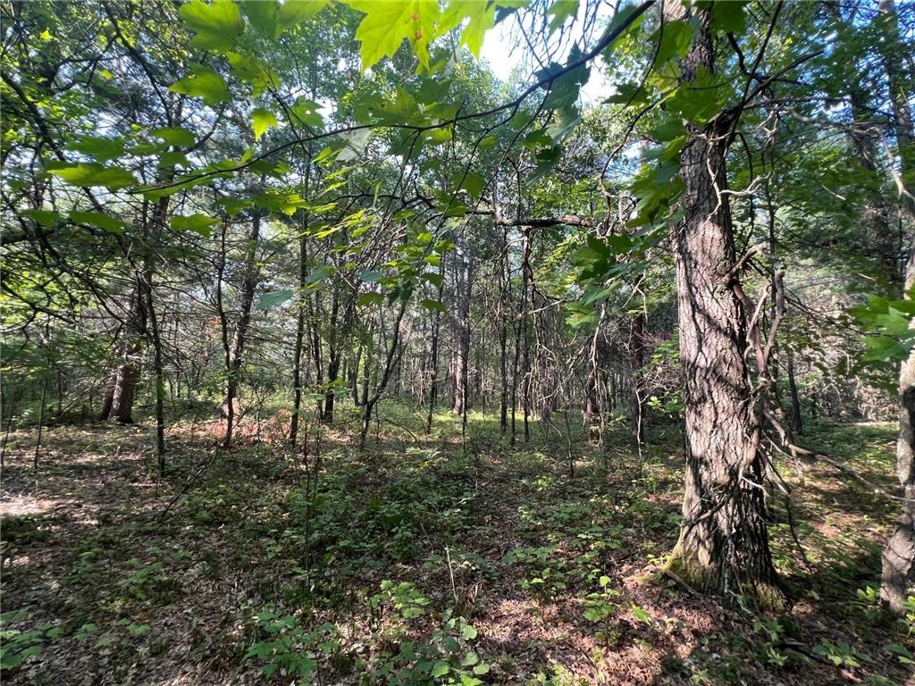 Lot 3 Borg Road Grantsburg WI 54840 6421836 image1