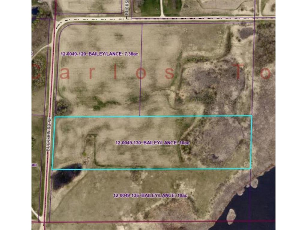 Lot 3 Buckskin Road NE Carlos MN 56319 6645489 image1