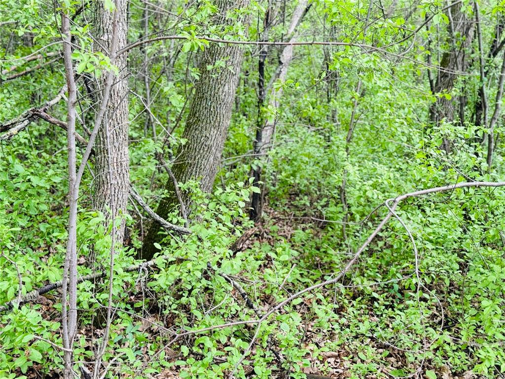 Lot 3 Canterbury Sands Trail Everts Twp MN 56515 7056564 image2