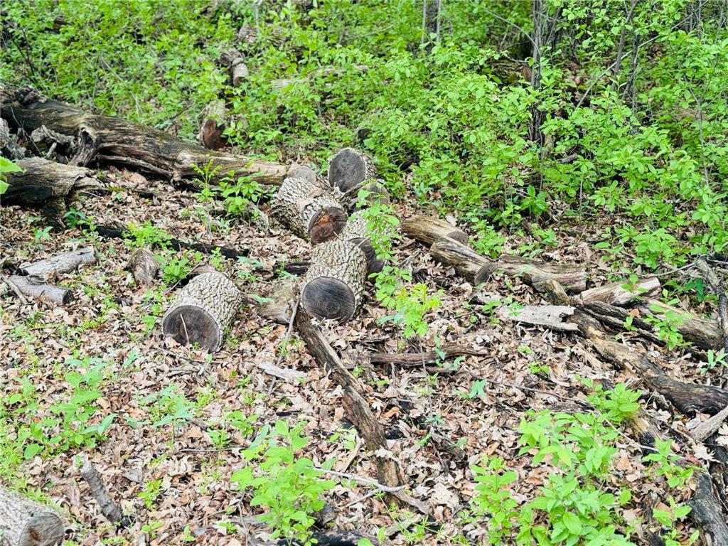 Lot 3 Canterbury Sands Trail Everts Twp MN 56515 7056564 image3