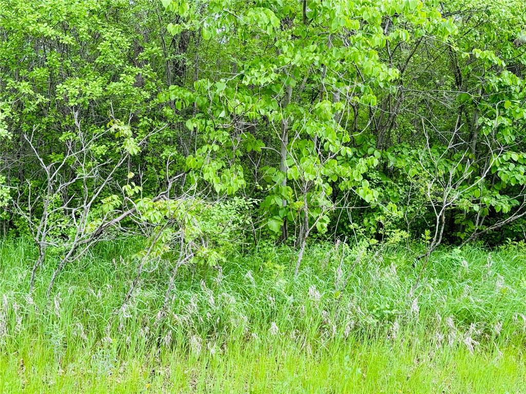 Lot 3 Canterbury Sands Trail Everts Twp MN 56515 7056564 image5