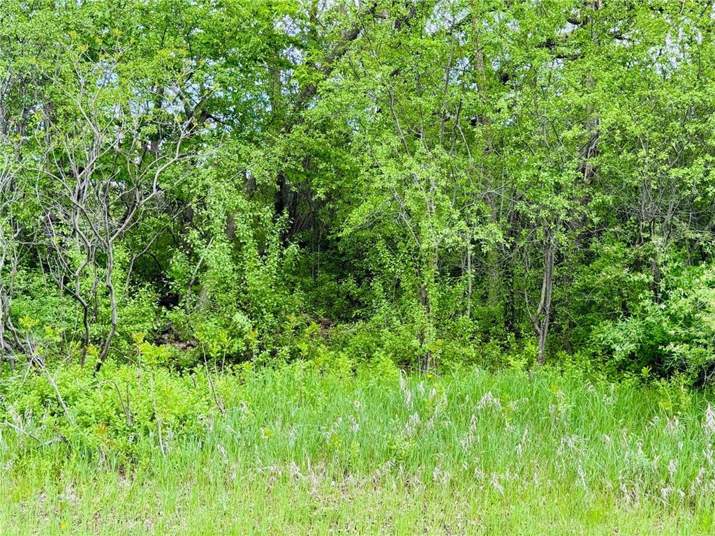Lot 3 Canterbury Sands Trail Everts Twp MN 56515 7056564 image6