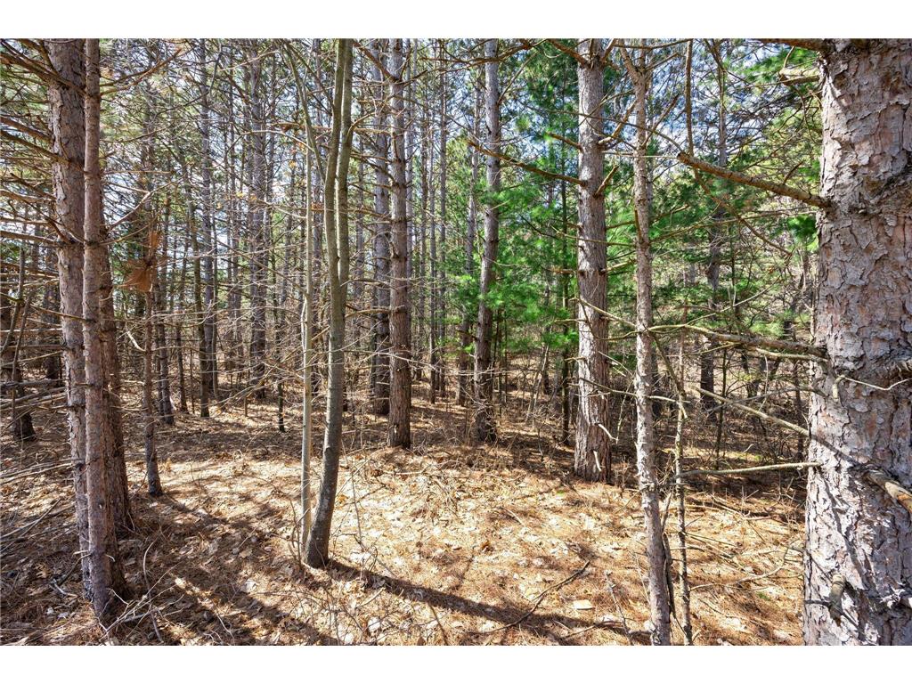 Lot 3 County Rd I Somerset WI 54025 7045341 image10