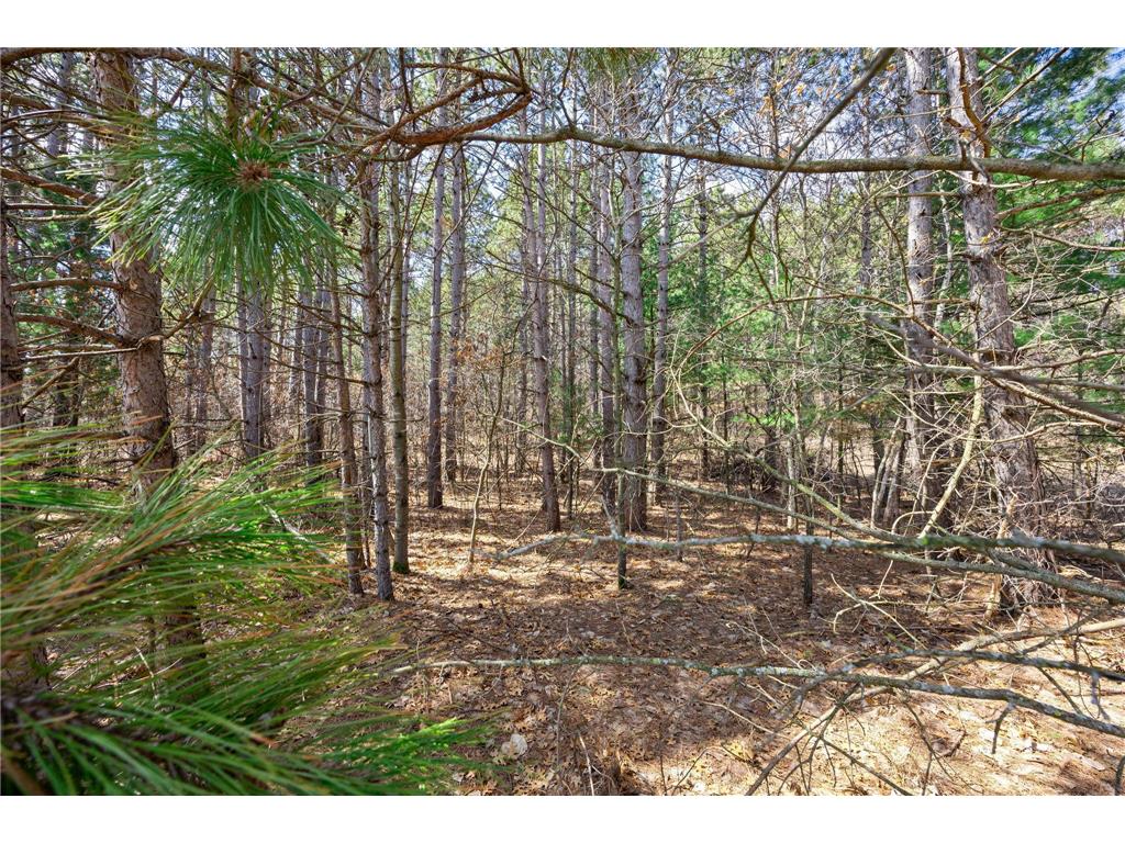Lot 3 County Rd I Somerset WI 54025 7045341 image9