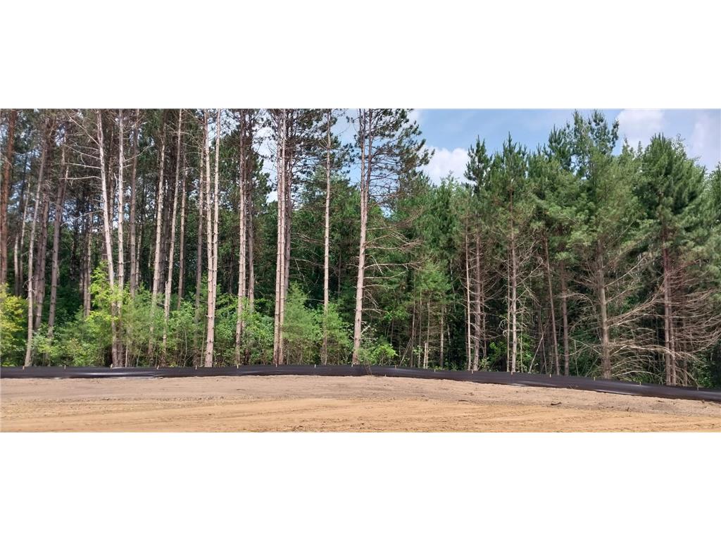 Lot 3 Dahlia Court Isanti MN 55040 6399561 image43