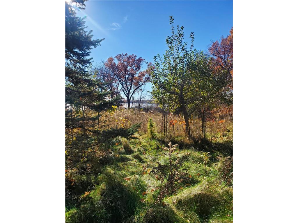 Lot 3 E Cedar Lake Ct Alden Twp WI 54026 - Cedar Lake 6812750 image6