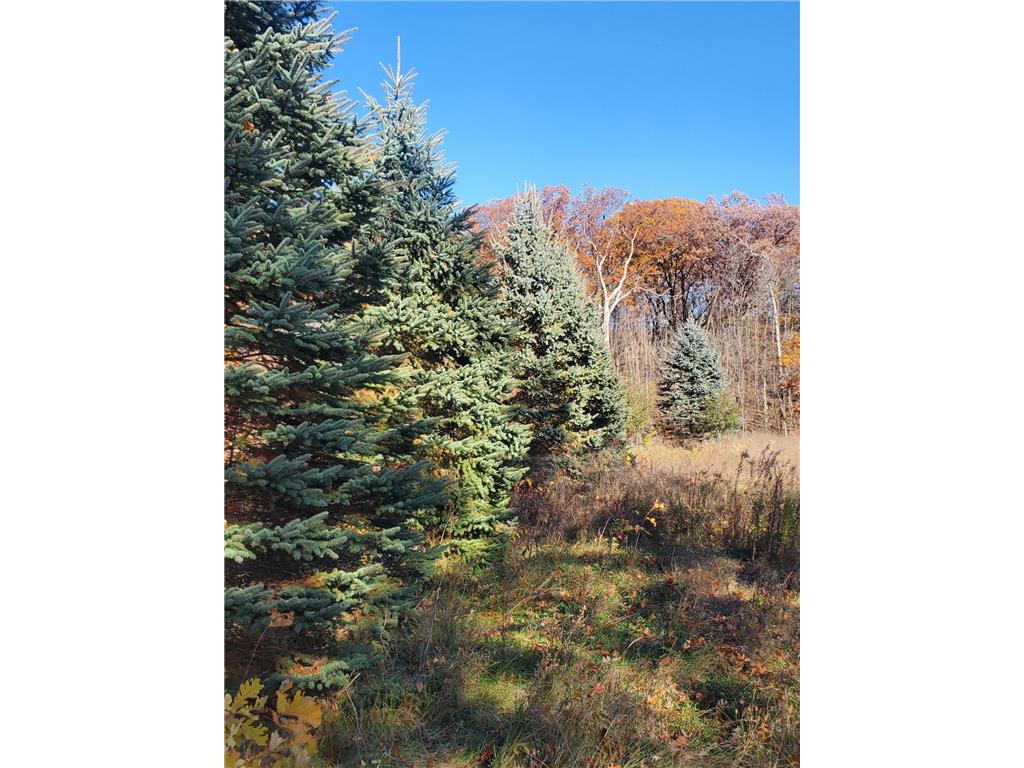 Lot 3 E Cedar Lake Ct Alden Twp WI 54026 - Cedar Lake 6812750 image7