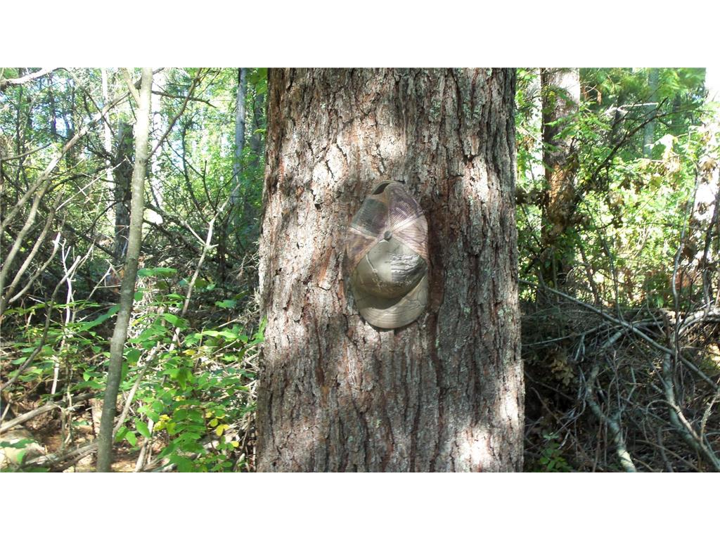 Lot 3 East River Rd Anderson Twp WI 54840 6814566 image10