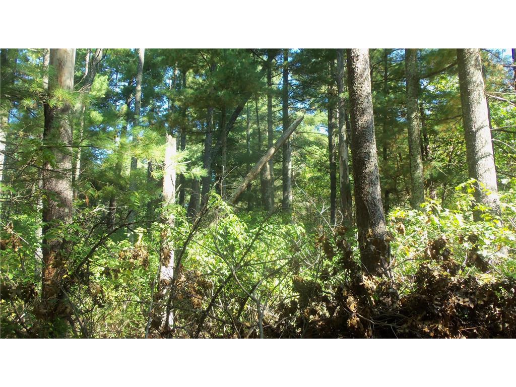 Lot 3 East River Rd Anderson Twp WI 54840 6814566 image11