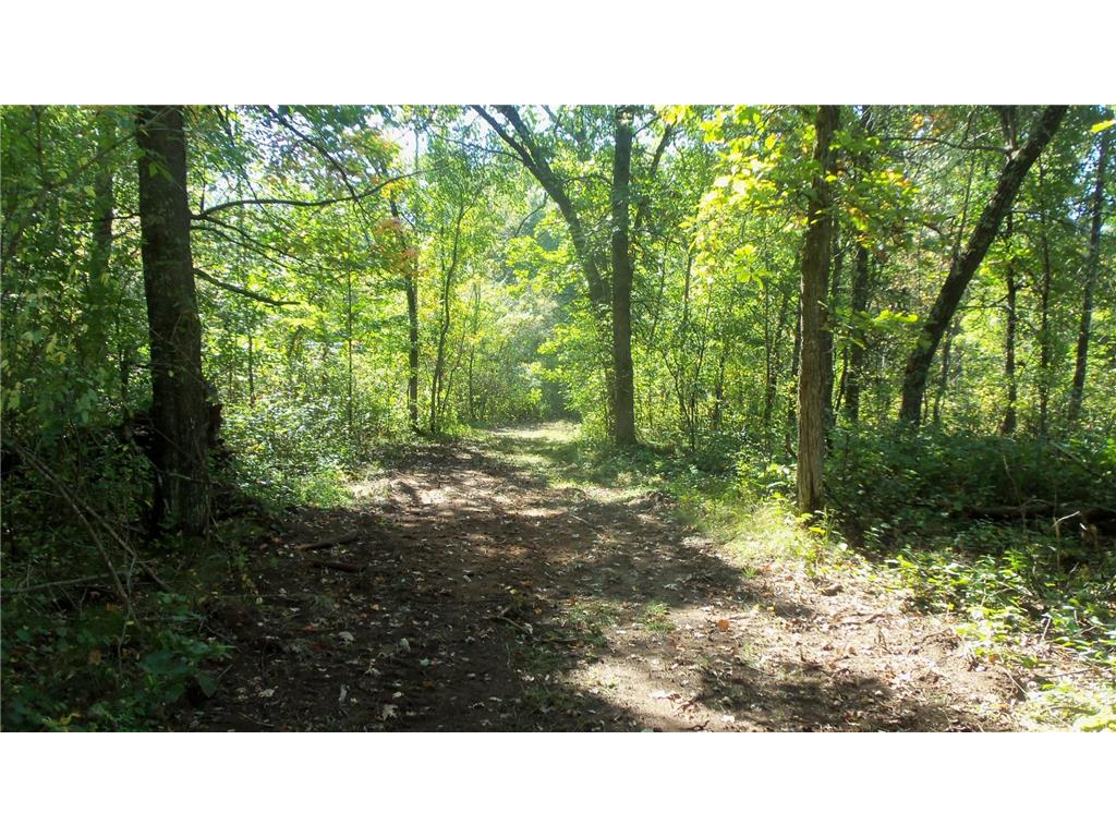 Lot 3 East River Rd Anderson Twp WI 54840 6814566 image13